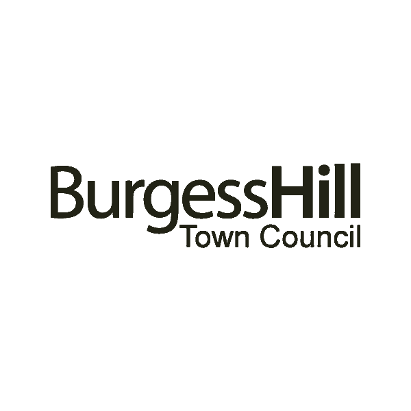 Collective_BurgessHillTownCouncil
